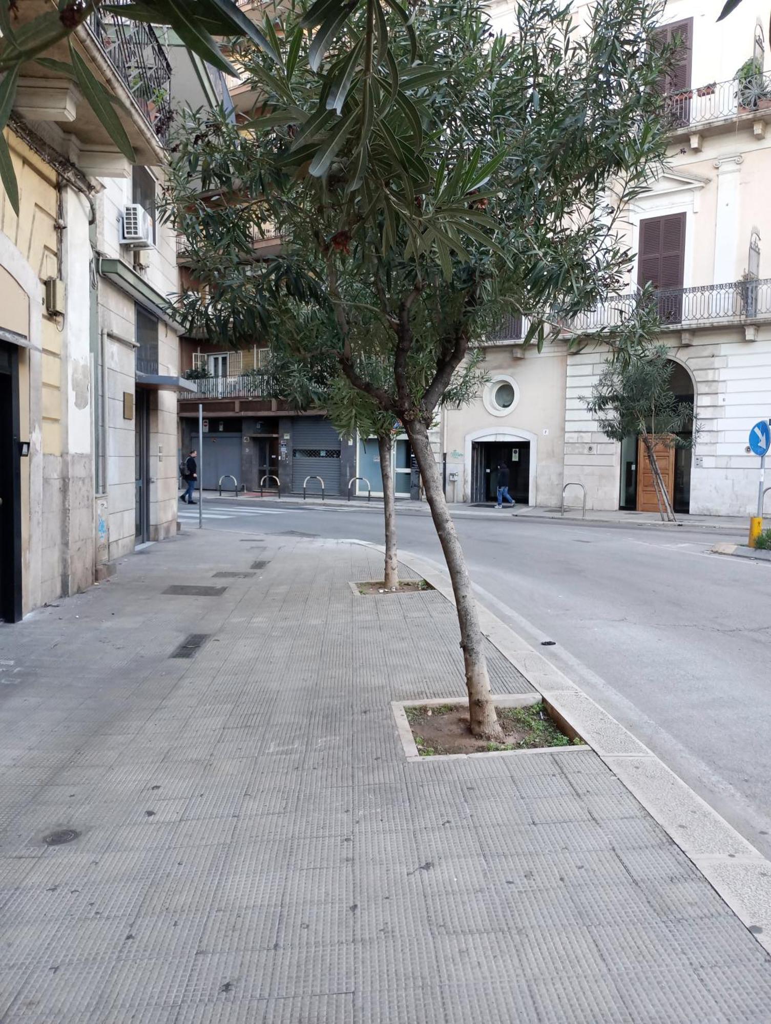 Casa Piacquadio Hotel Bari Buitenkant foto